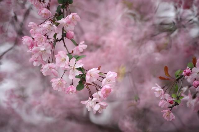 四月朋友圈精选文案 ｜ 三月再见，四月你好！(图4)