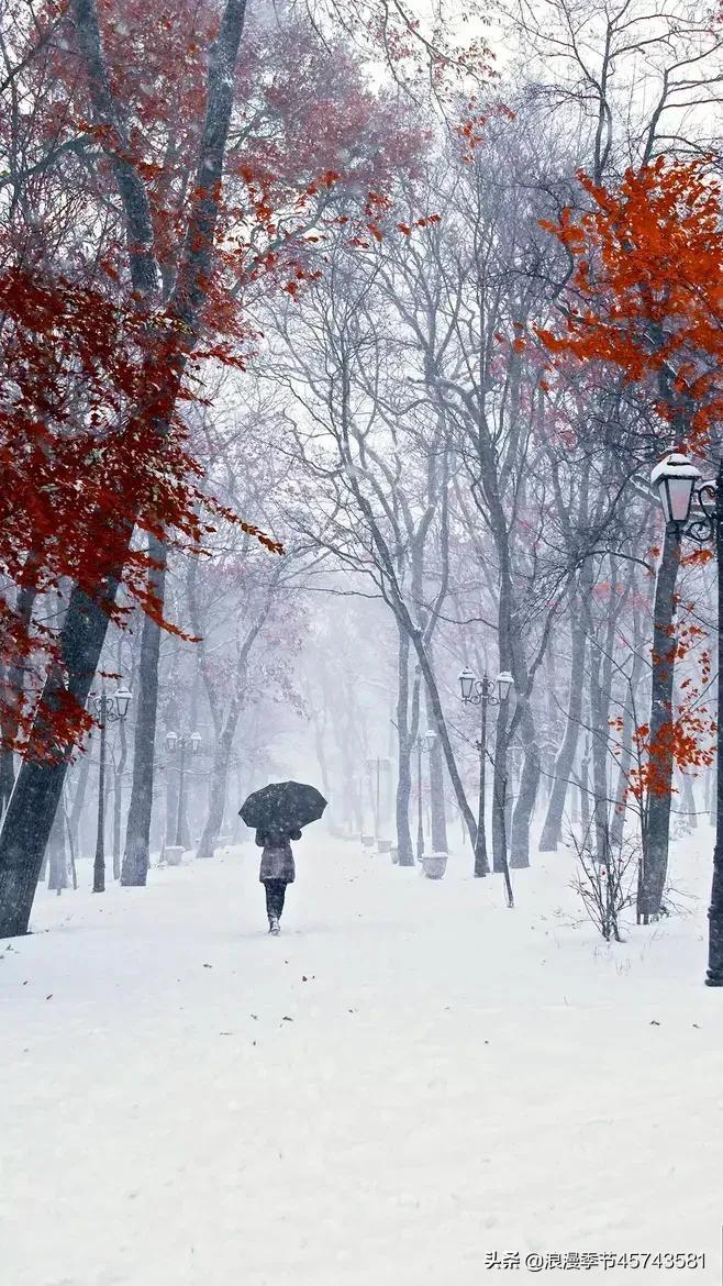 冬去春来，一心向暖，时光深处等一季春，待一季花开！「散文」(图1)