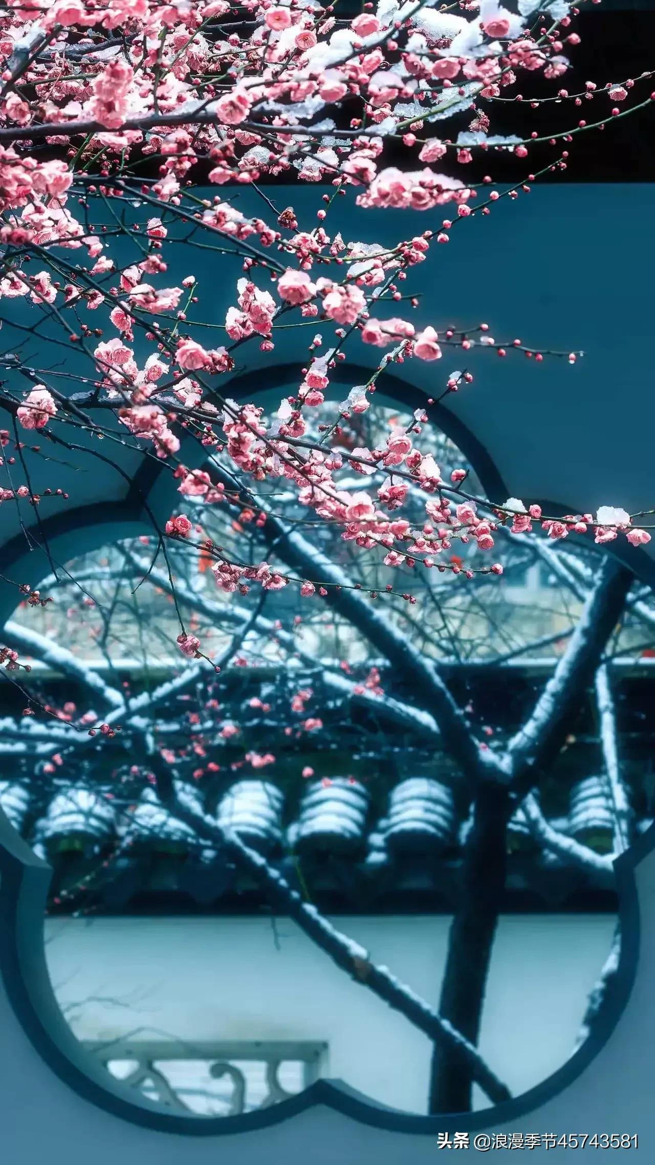 冬去春来，一心向暖，时光深处等一季春，待一季花开！「散文」(图5)