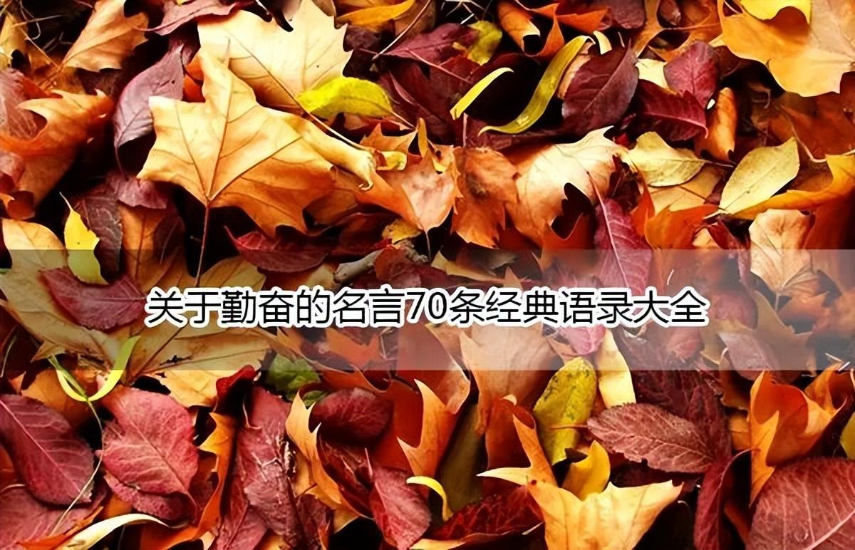 关于勤奋的名言70条经典语录大全(图1)