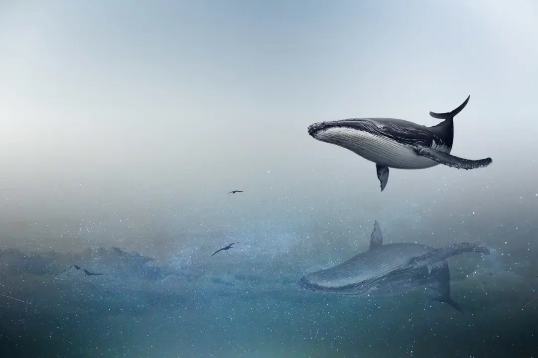 你听过最美的8字短句是什么？我先来：家人闲坐，灯火可亲(图1)