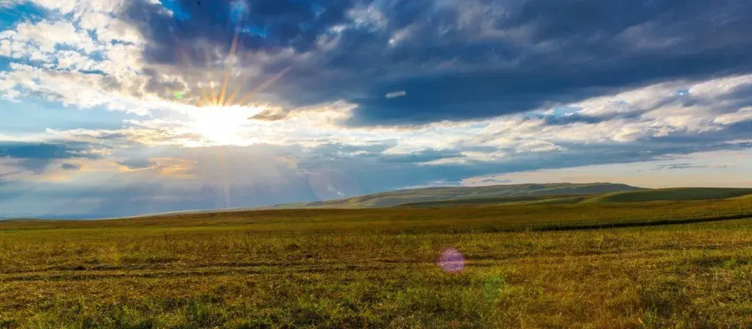 你听过最美的8字短句是什么？我先来：家人闲坐，灯火可亲(图4)