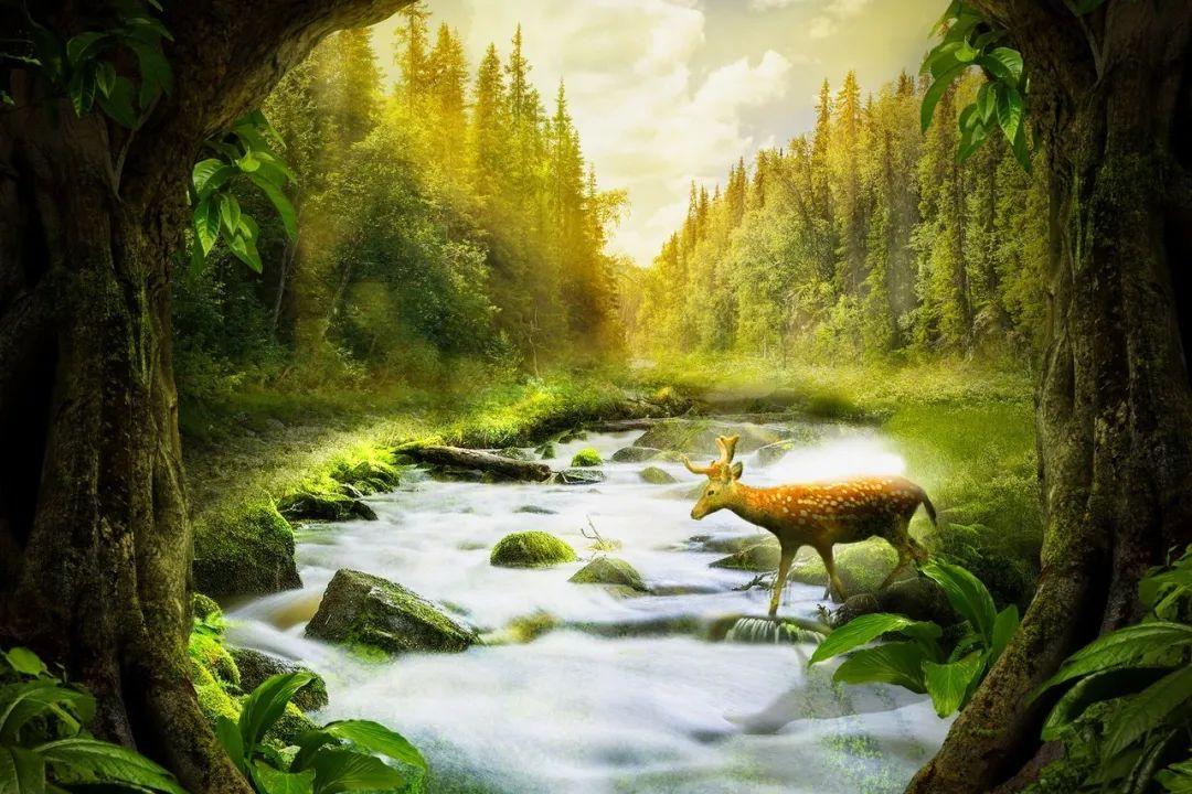 你听过最美的8字短句是什么？我先来：家人闲坐，灯火可亲(图7)