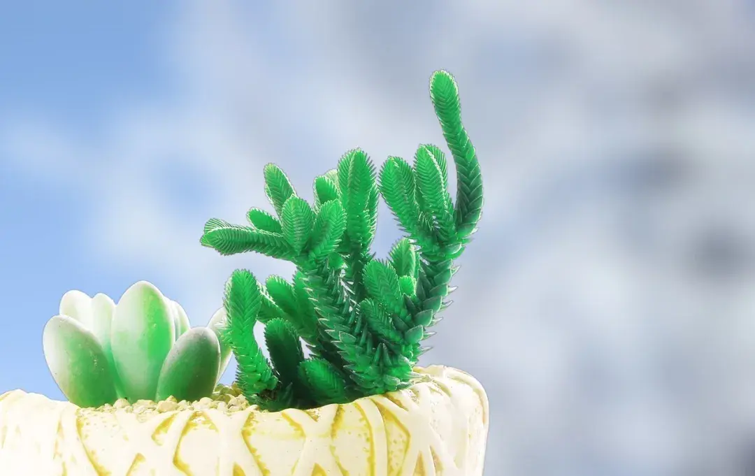 你听过最美的8字短句是什么？我先来：家人闲坐，灯火可亲(图9)