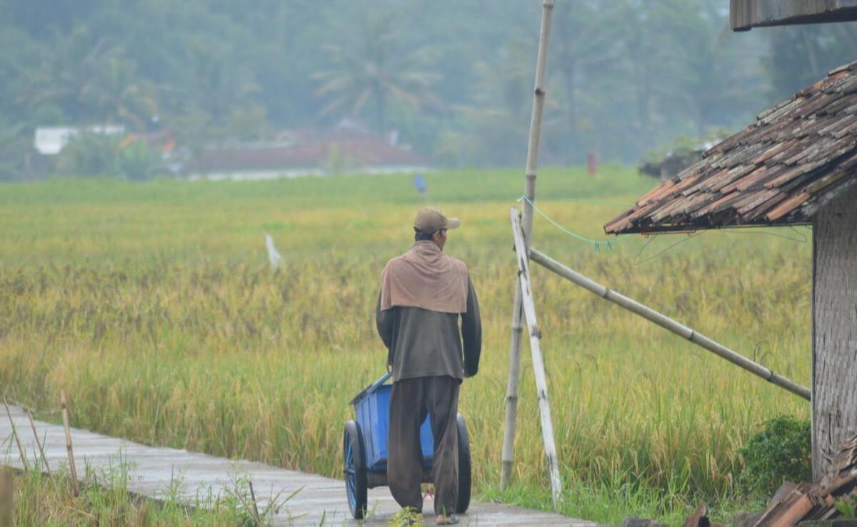 10句损人的歇后语，损人不吐一个脏字，幽默又针针见血，你听过吗(图1)