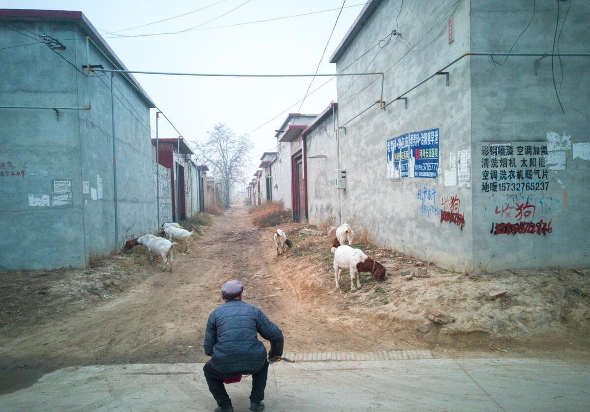 10句损人的歇后语，损人不吐一个脏字，幽默又针针见血，你听过吗(图3)