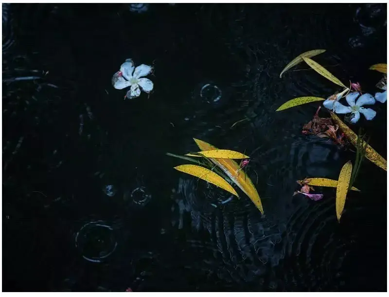 八句人生诗词，参悟十年青春，含泪一读再读。(图3)