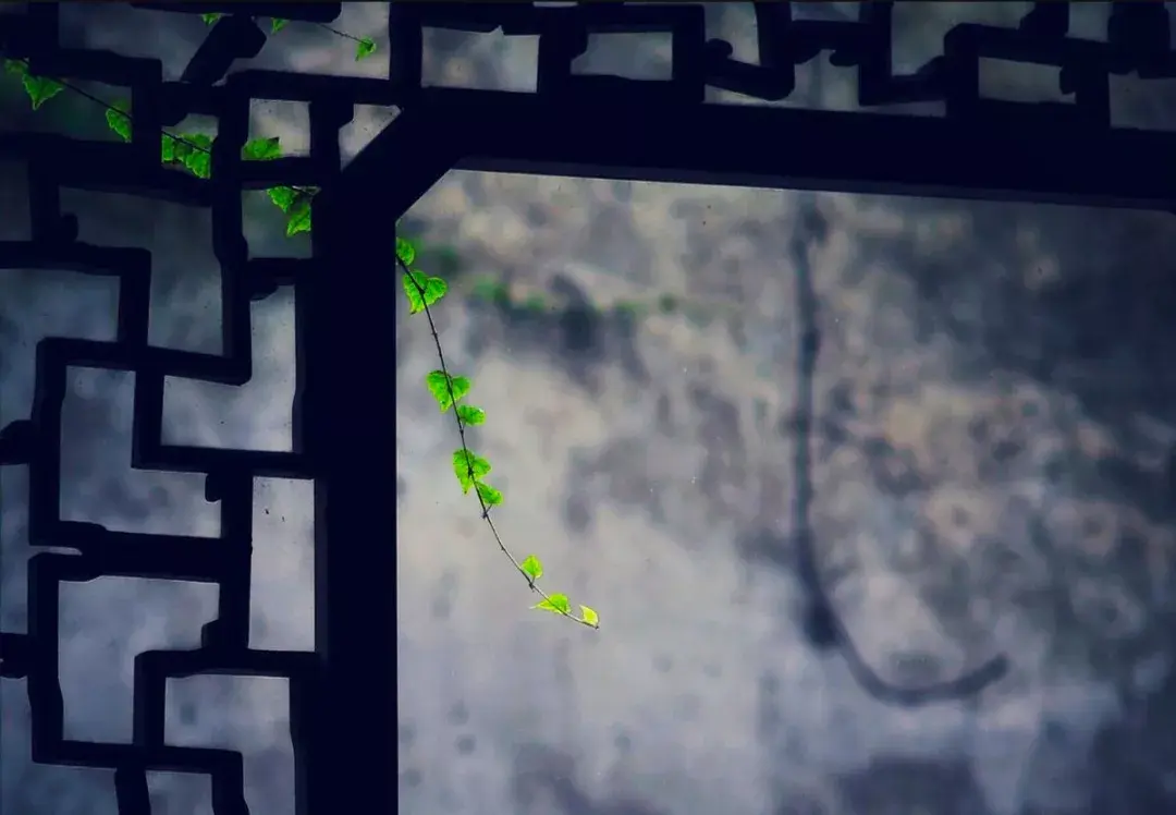 八句人生诗词，参悟十年青春，含泪一读再读。(图4)