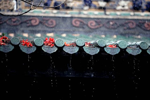 八句人生诗词，参悟十年青春，含泪一读再读。(图7)