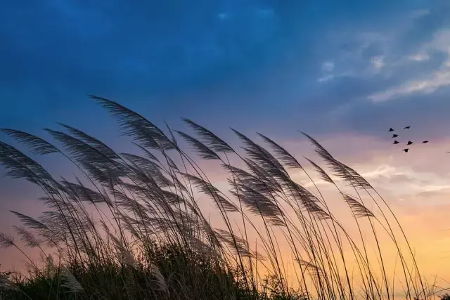 八句人生诗词，参悟十年青春，含泪一读再读。(图11)