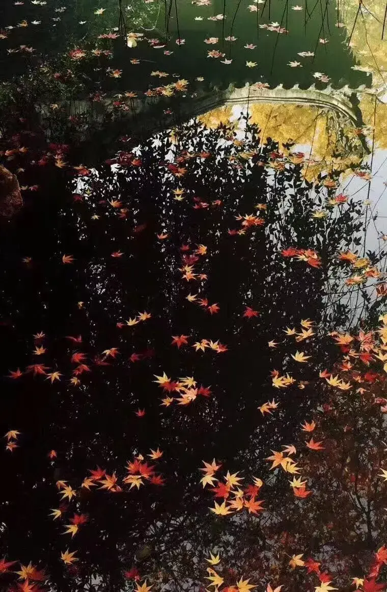 八句人生诗词，参悟十年青春，含泪一读再读。(图12)