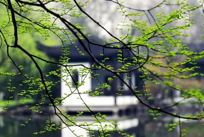 八句人生诗词，参悟十年青春，含泪一读再读。(图13)