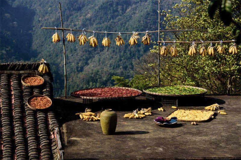 八句人生诗词，参悟十年青春，含泪一读再读。(图15)