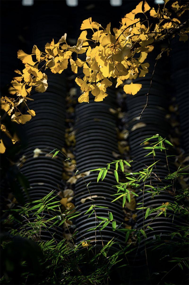 八句人生诗词，参悟十年青春，含泪一读再读。(图16)