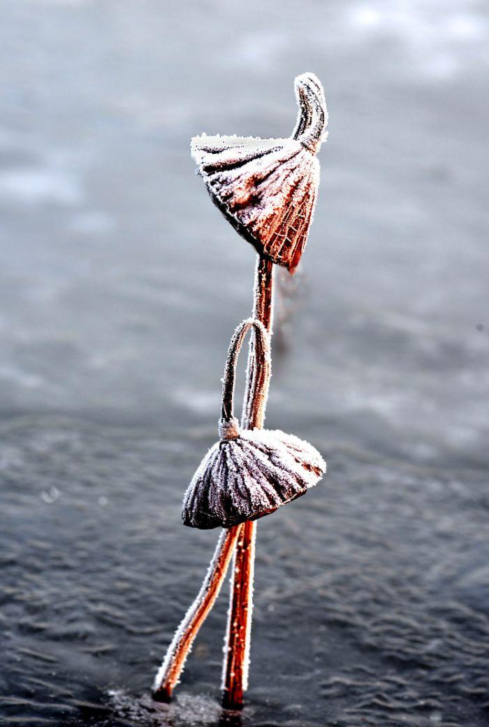 八句人生诗词，参悟十年青春，含泪一读再读。(图20)