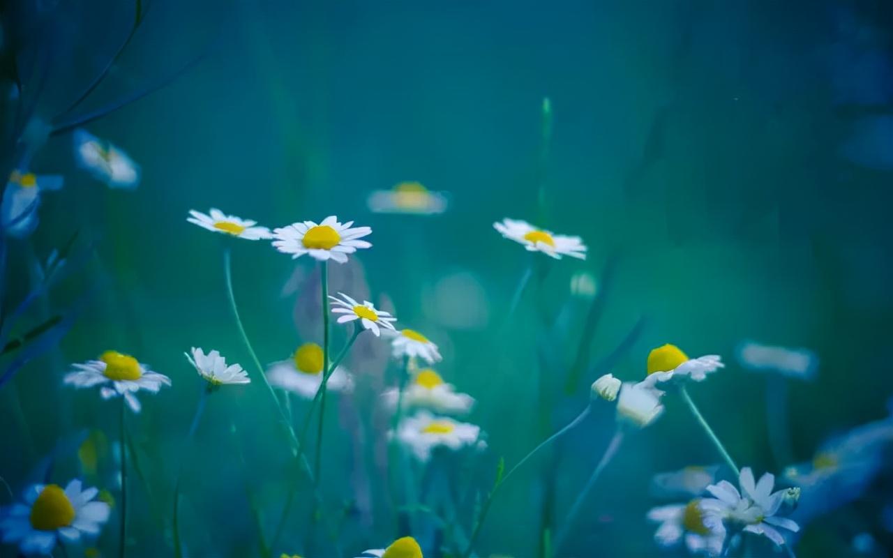 王阳明：立身处世，修身治家(图2)