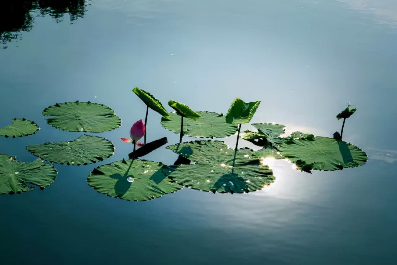 王阳明：立身处世，修身治家(图3)