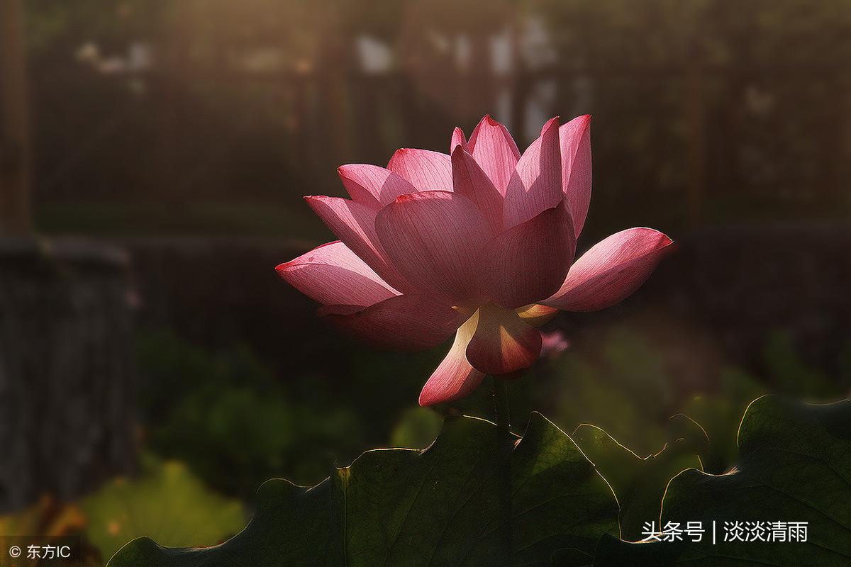 欣赏10条珍惜时间的名言(图9)