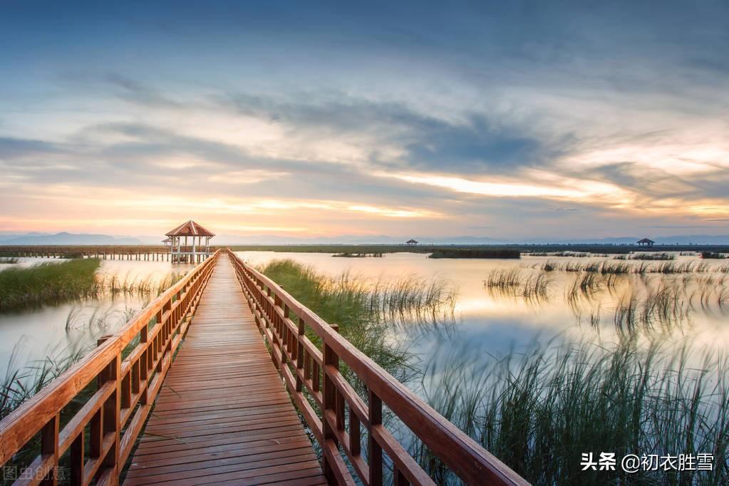 早春春雨春水古诗四首：春雨晴时春水生，有几梅花更晚风(图4)
