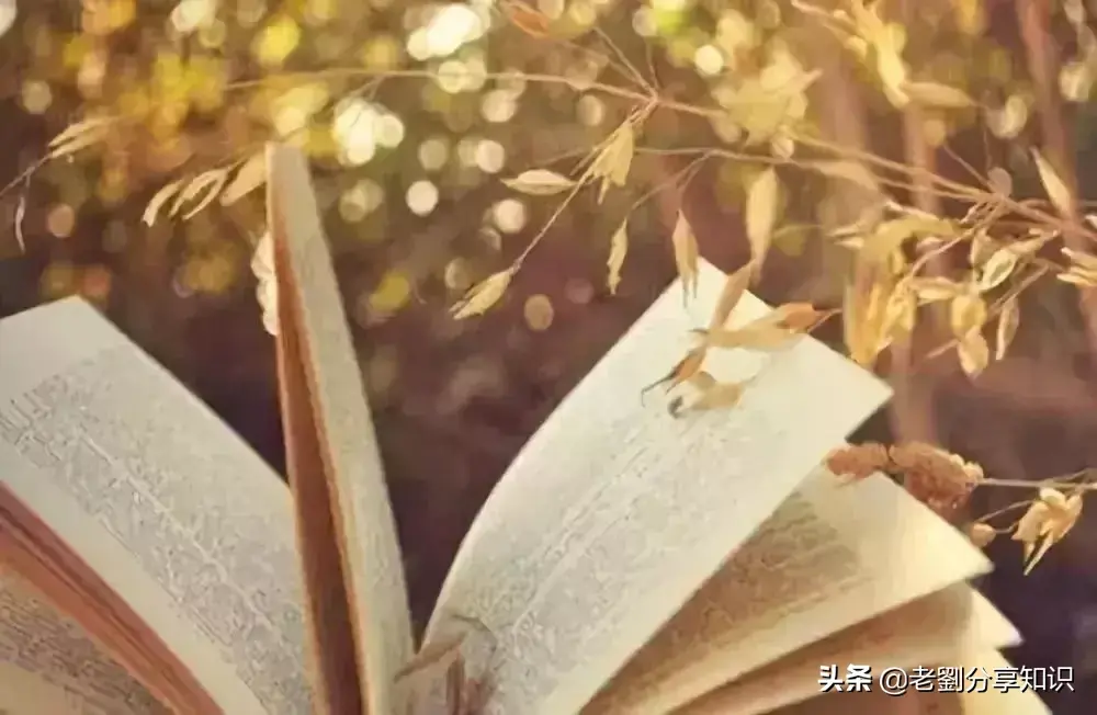 100句经典英文格言，寒假背一背，英语作文高分必备(图2)