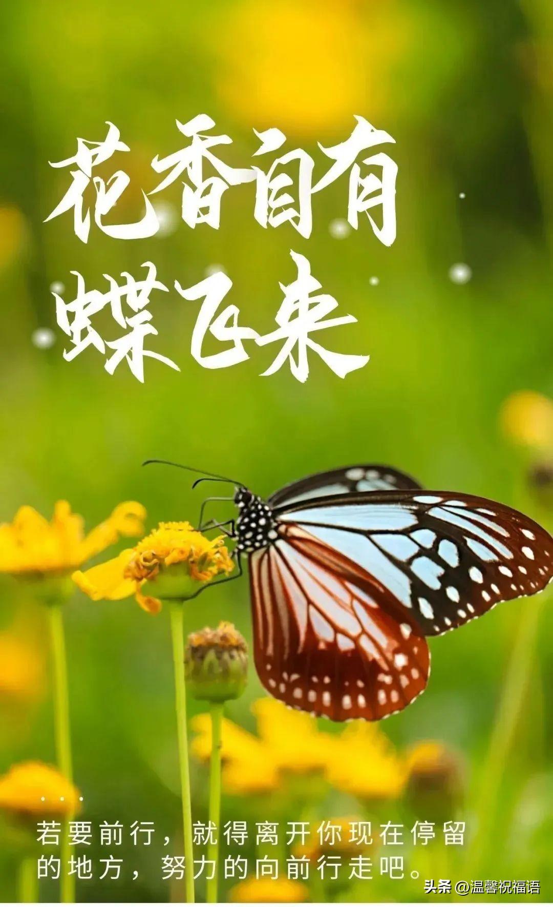 早安语录 | 分享10条人生感悟语录，简短有深度的人生感悟句子(图3)