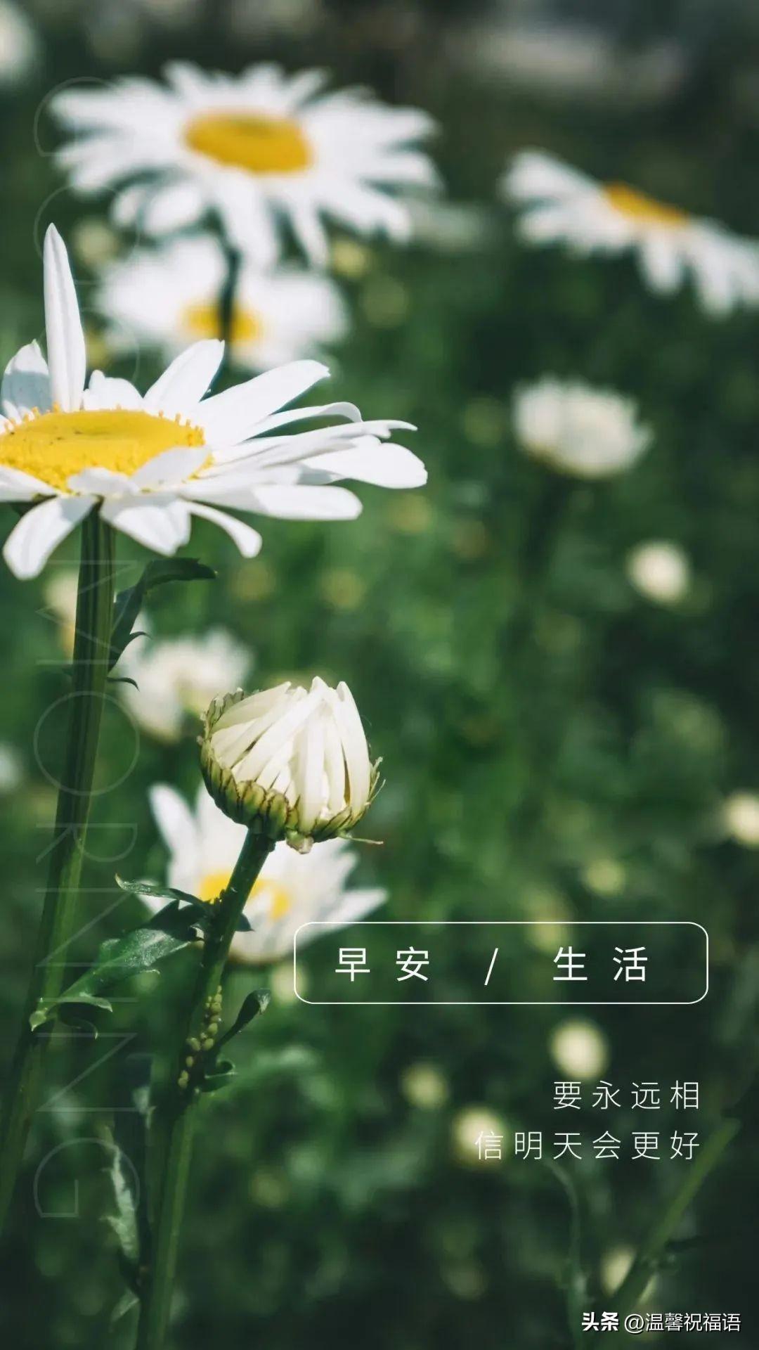 早安语录 | 分享10条人生感悟语录，简短有深度的人生感悟句子(图4)