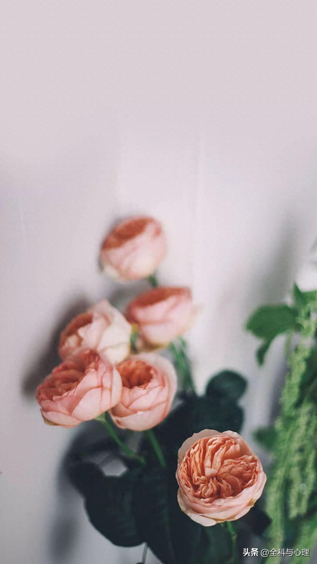 人生感悟经典句子 人生感悟唯美经典句子(图1)