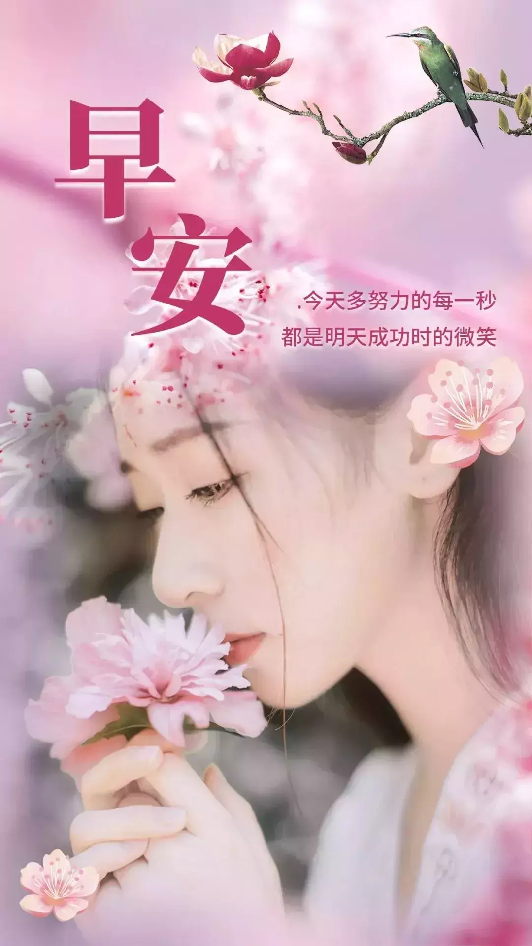 早上问候：你选择了安逸，就不必羡慕别人精彩充实，早上好(图1)