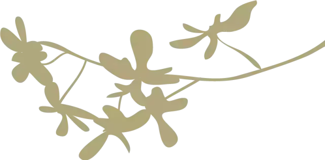 早上问候：你选择了安逸，就不必羡慕别人精彩充实，早上好(图7)