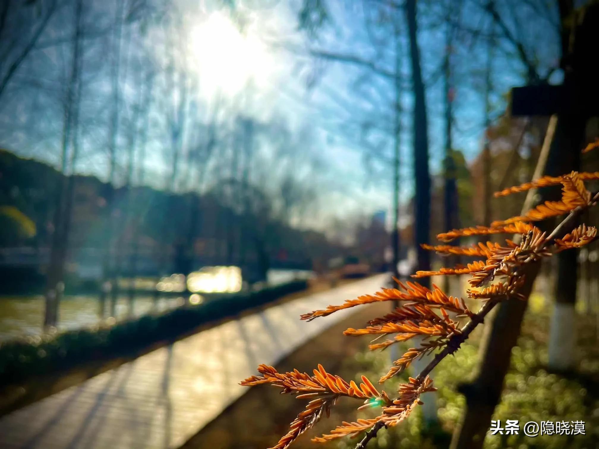 男人偷发朋友圈的伤感句子，每一句让人心痛到无法呼吸(图1)