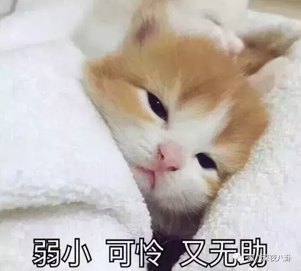 笑出腹肌的影视剧神台词，千万别在吃东西的时候看！(图4)