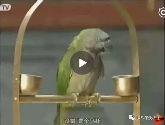 笑出腹肌的影视剧神台词，千万别在吃东西的时候看！(图36)