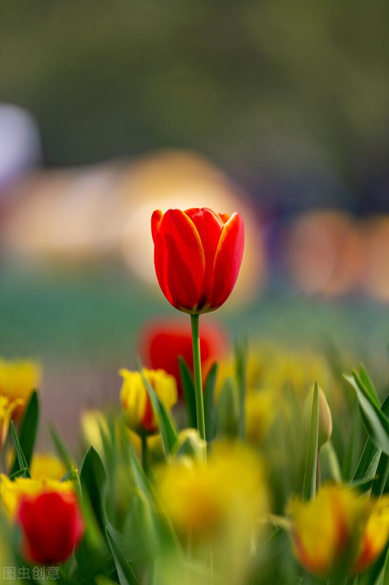 往事只能回味，岁月不会重来(图3)