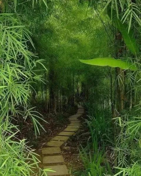 10首隐士古诗词，纵情山水，归隐山林，意境脱俗，治愈尘心(图2)