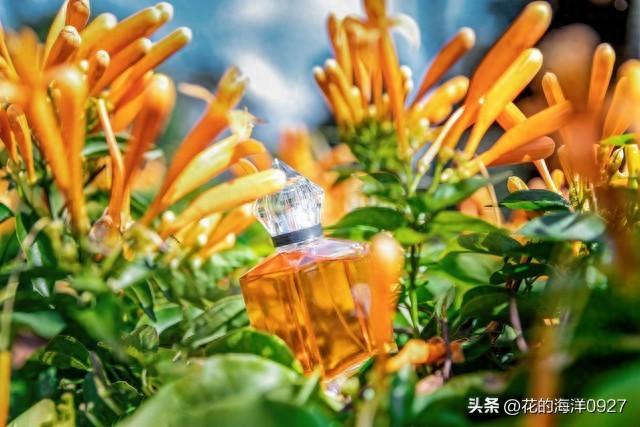 激励自己，努力前行，正能量语录分享(图1)