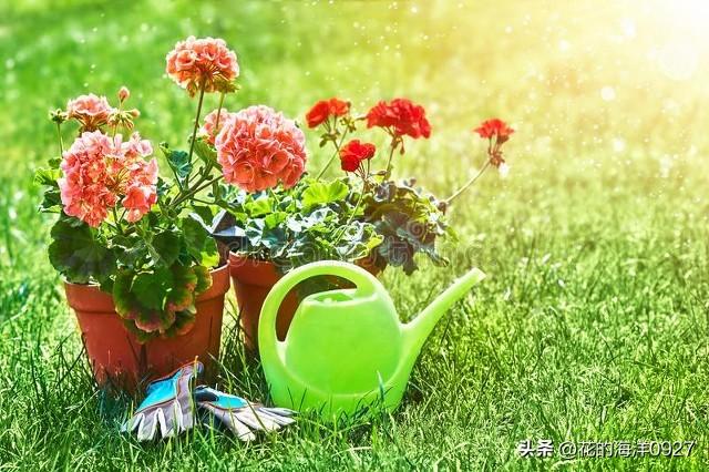 激励自己，努力前行，正能量语录分享(图3)