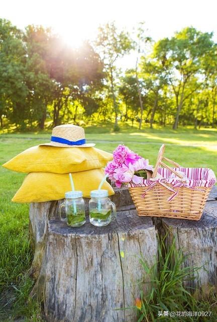 激励自己，努力前行，正能量语录分享(图4)