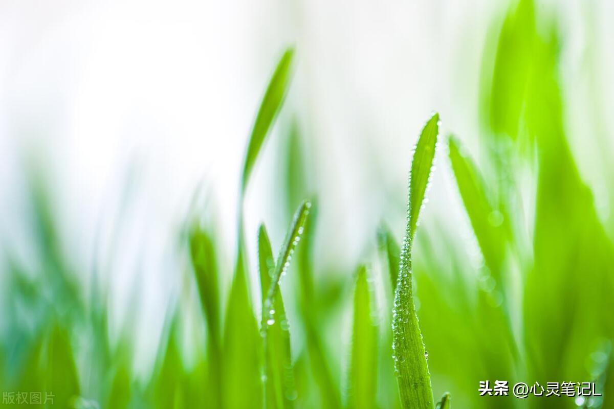 人生百态，20句励志短语帮你战胜困难！(图1)