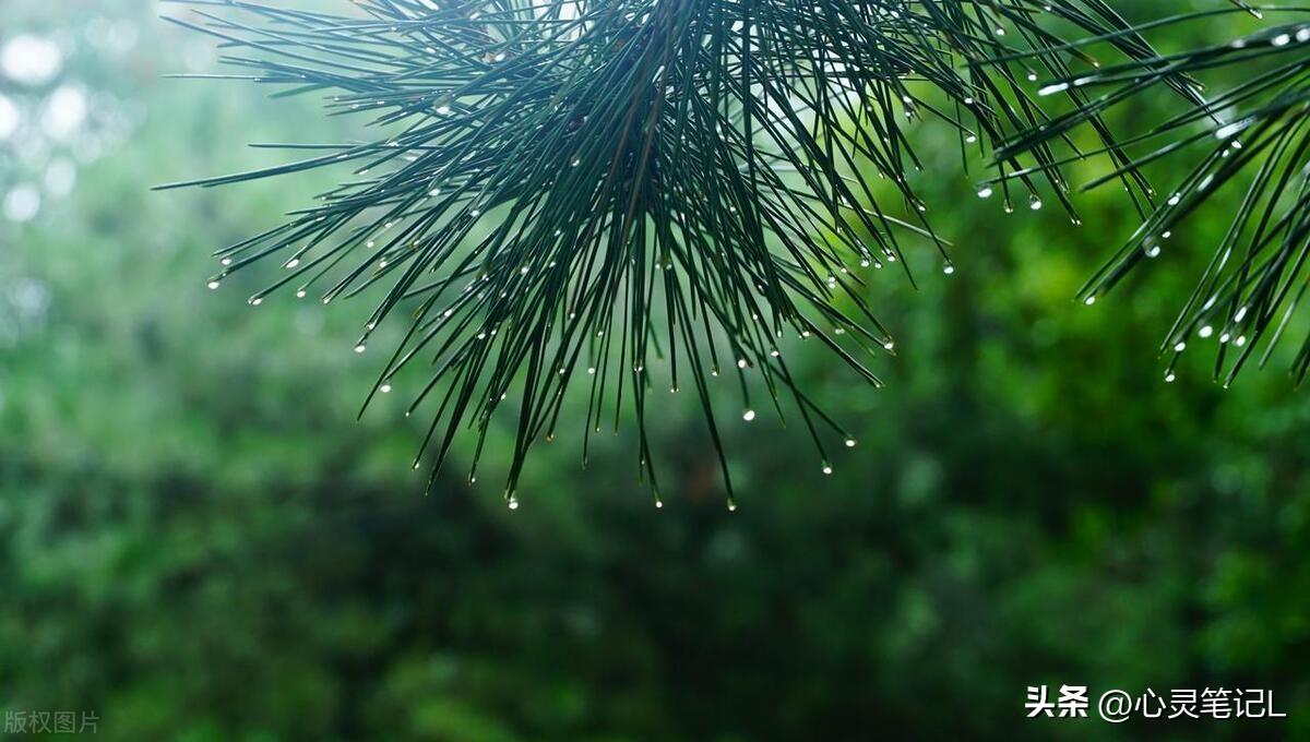 人生百态，20句励志短语帮你战胜困难！(图4)