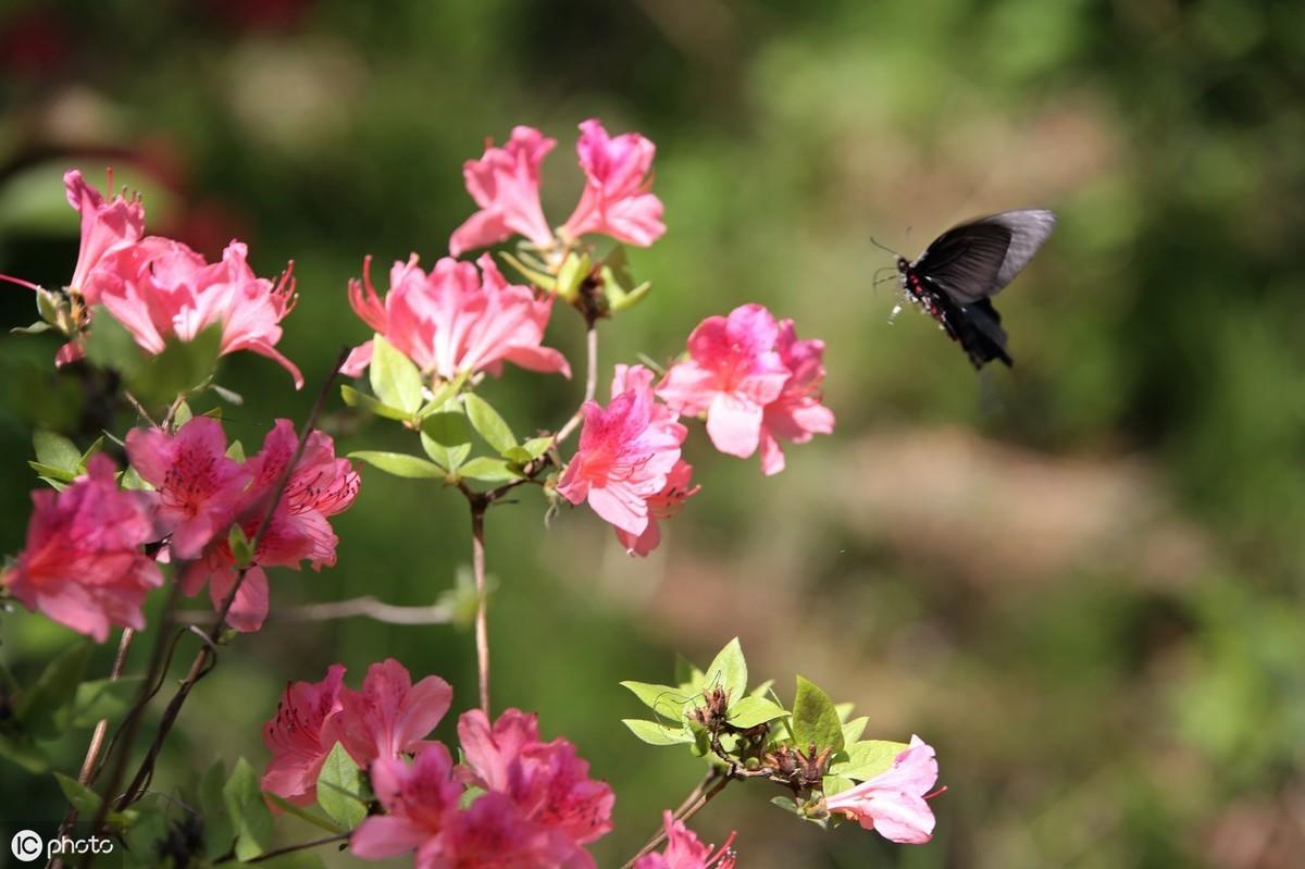 100句经典英语格言警句精选（收藏）(图10)