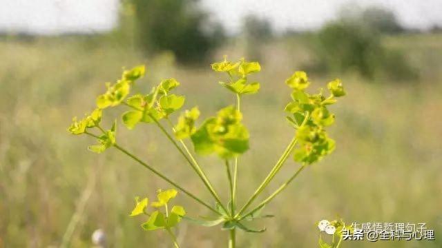 生活感悟经典句子 生活说说很现实的说说(图1)