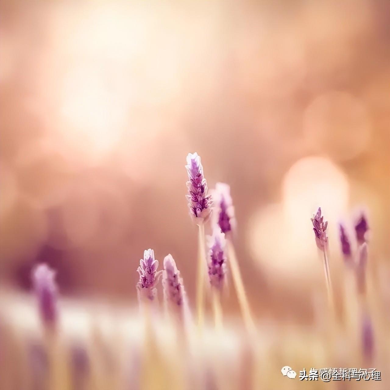 生活感悟经典句子 生活说说很现实的说说(图3)