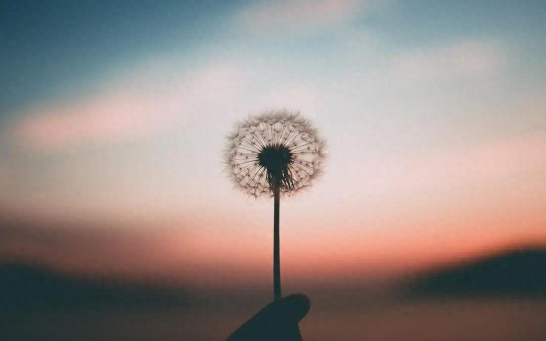 夜空繁星的句子，灵感与无尽的宇宙之旅(图1)