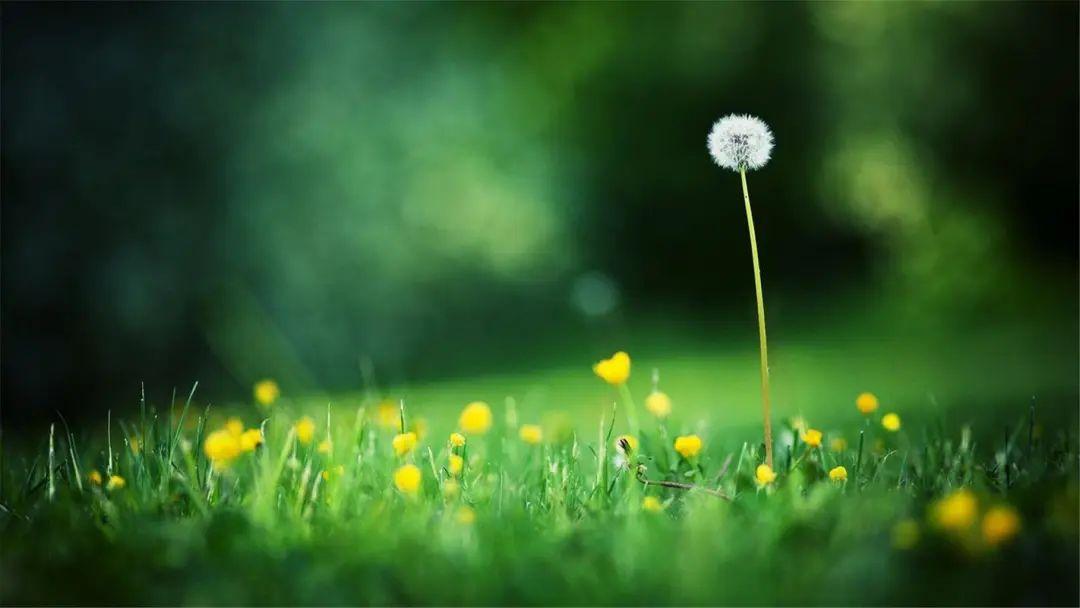 夜空繁星的句子，灵感与无尽的宇宙之旅(图2)