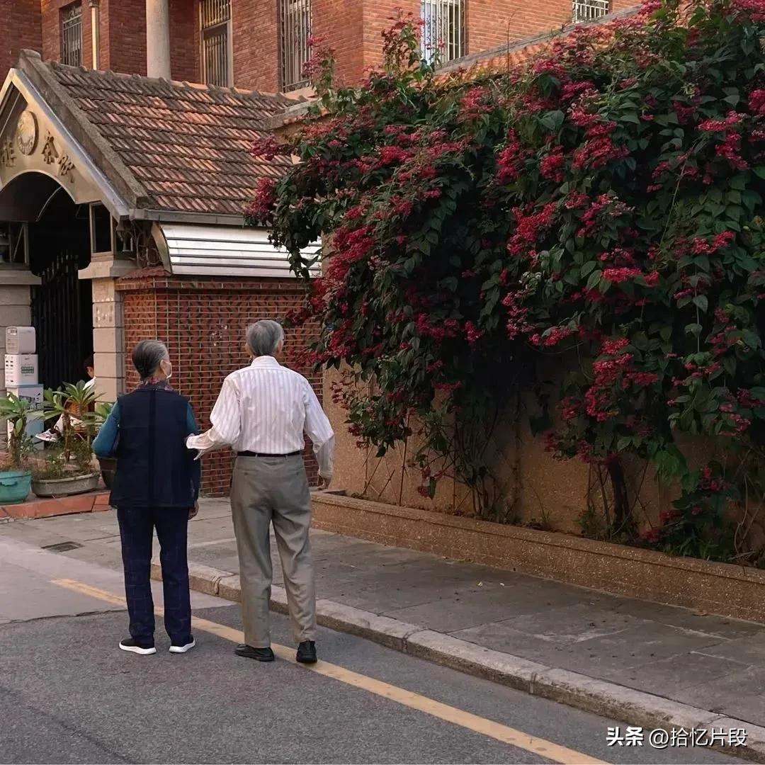 关于爱情的走心句子，经典深情，百看不厌(图3)