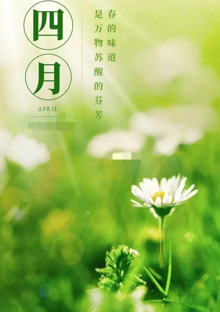 四月美好祝福唯美句子，干净暖心治愈文案(图1)