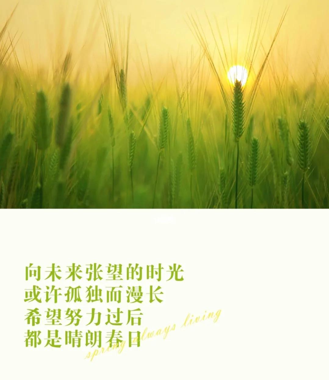 四月美好祝福唯美句子，干净暖心治愈文案(图2)