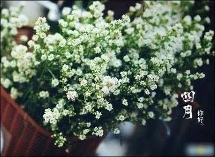 四月美好祝福唯美句子，干净暖心治愈文案(图3)