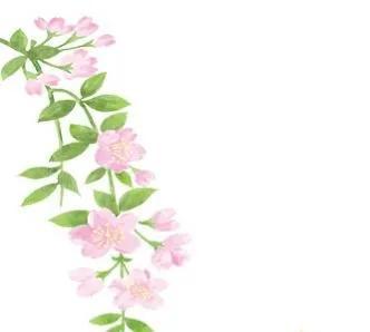 四月美好祝福唯美句子，干净暖心治愈文案(图4)