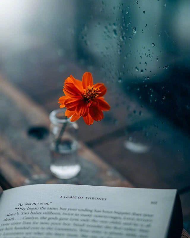 疲惫心累的伤感爱情短句，句句戳心，越读越难受！(图1)